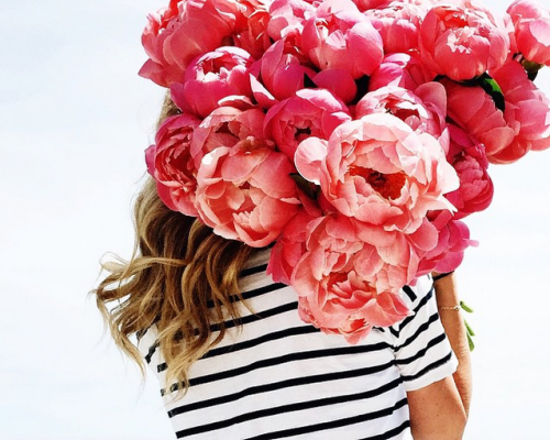 Pink Peonies